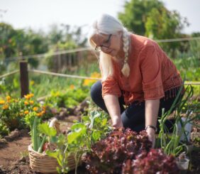 Elderly woman in a vegetable garden